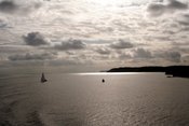 View this image larger